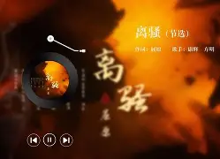 13006代换-开云